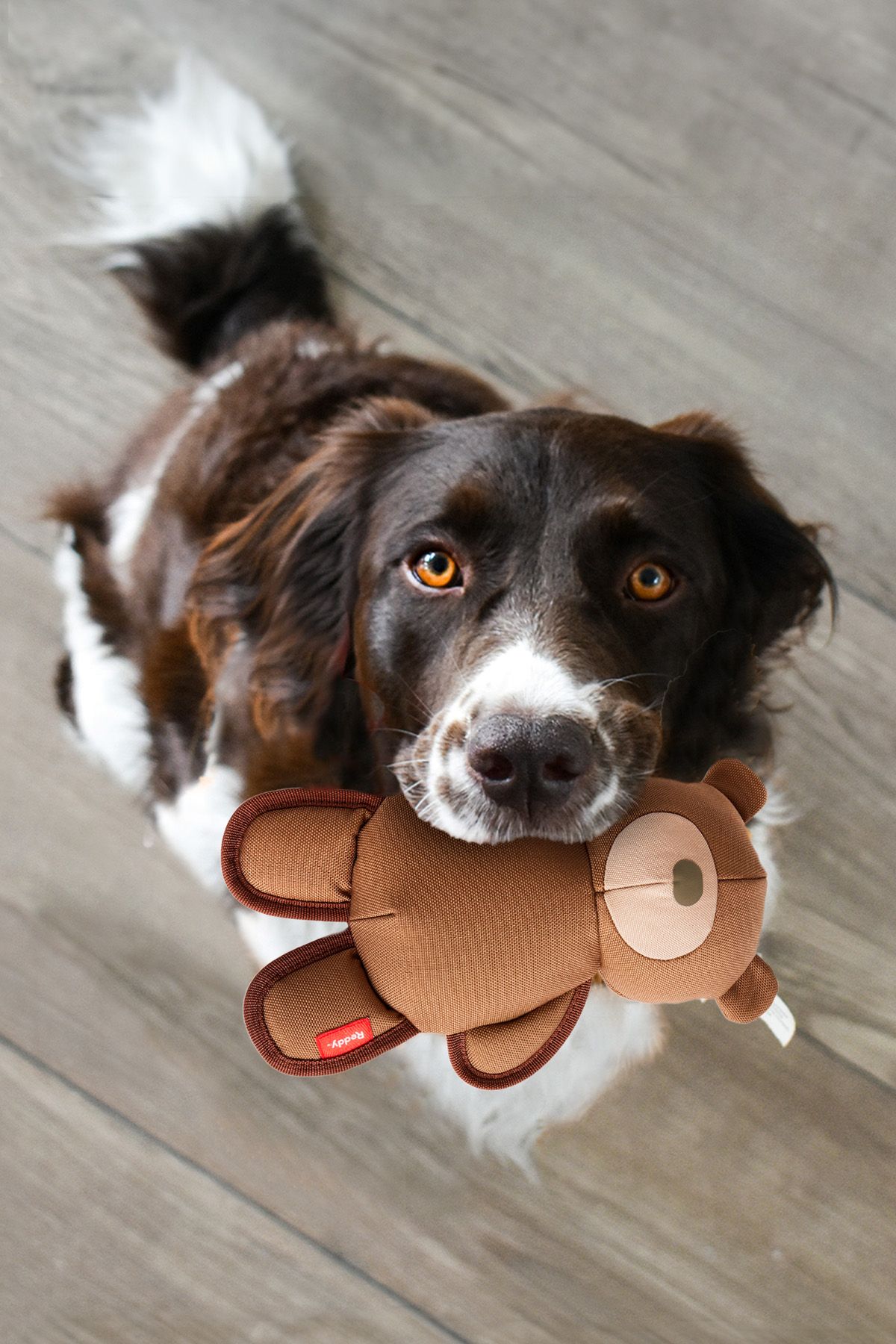 ENTRETENCIÓN Y ACCESORIOS