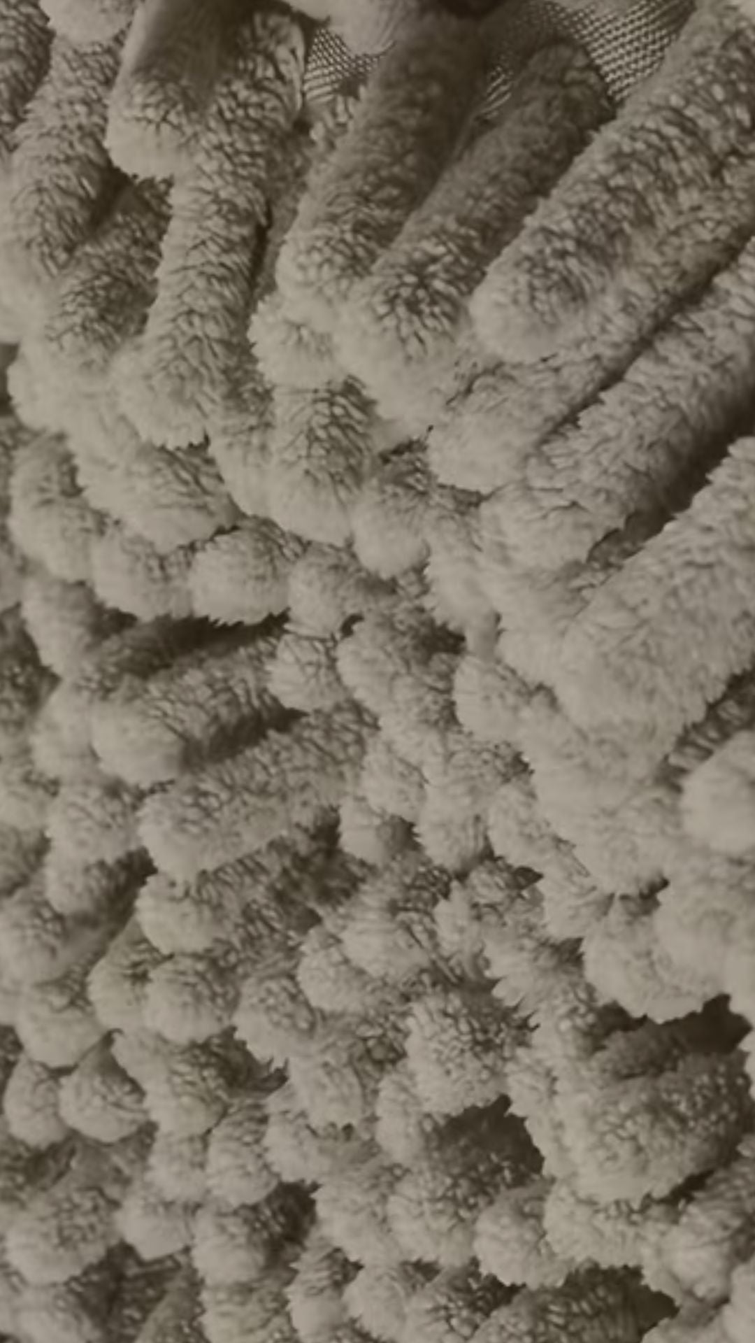 Toalla de fibra de algodón para mascotas